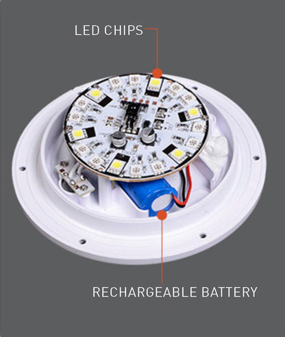 Portable LED Desk Lamp