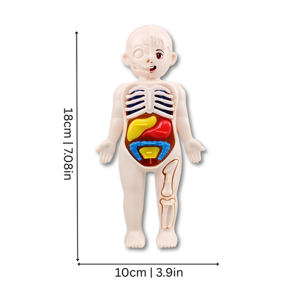 Slimming Body Shaper