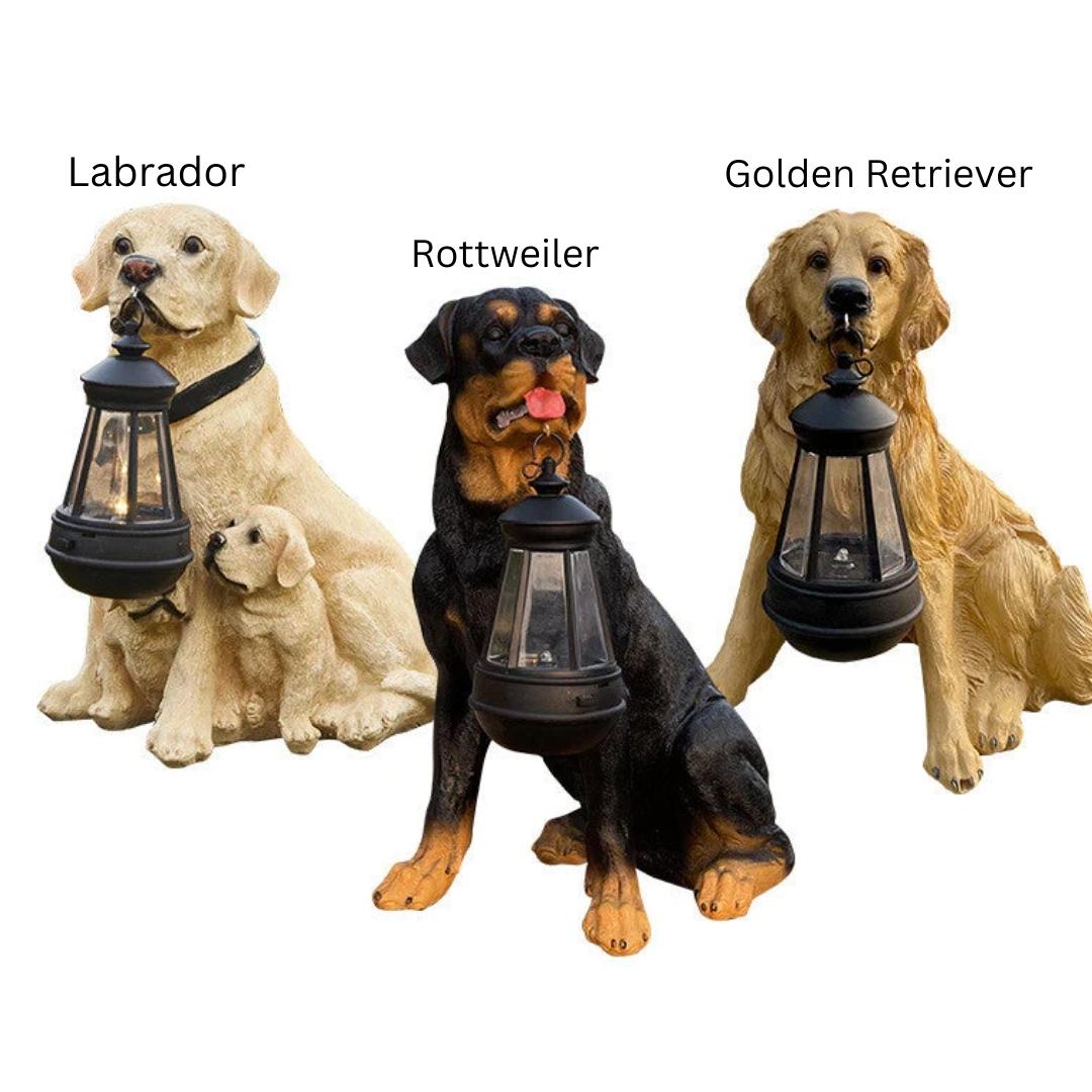 Outdoor Pet Solar Lamp Waterproof Automatic