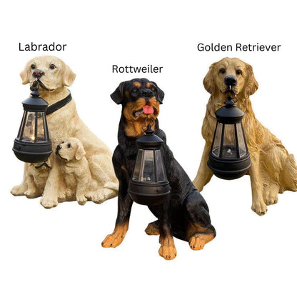 Outdoor Pet Solar Lamp Waterproof Automatic