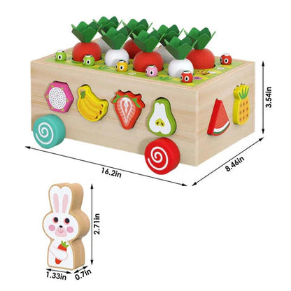 Wooden Learning Toy Shape Sorter for Kids Fruits and Veggies
