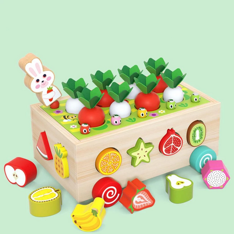 Wooden Learning Toy Shape Sorter for Kids Fruits and Veggies