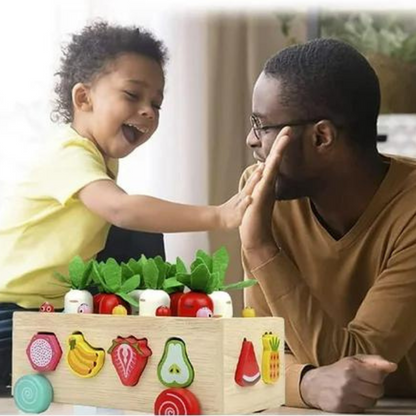 Wooden Learning Toy Shape Sorter for Kids Fruits and Veggies