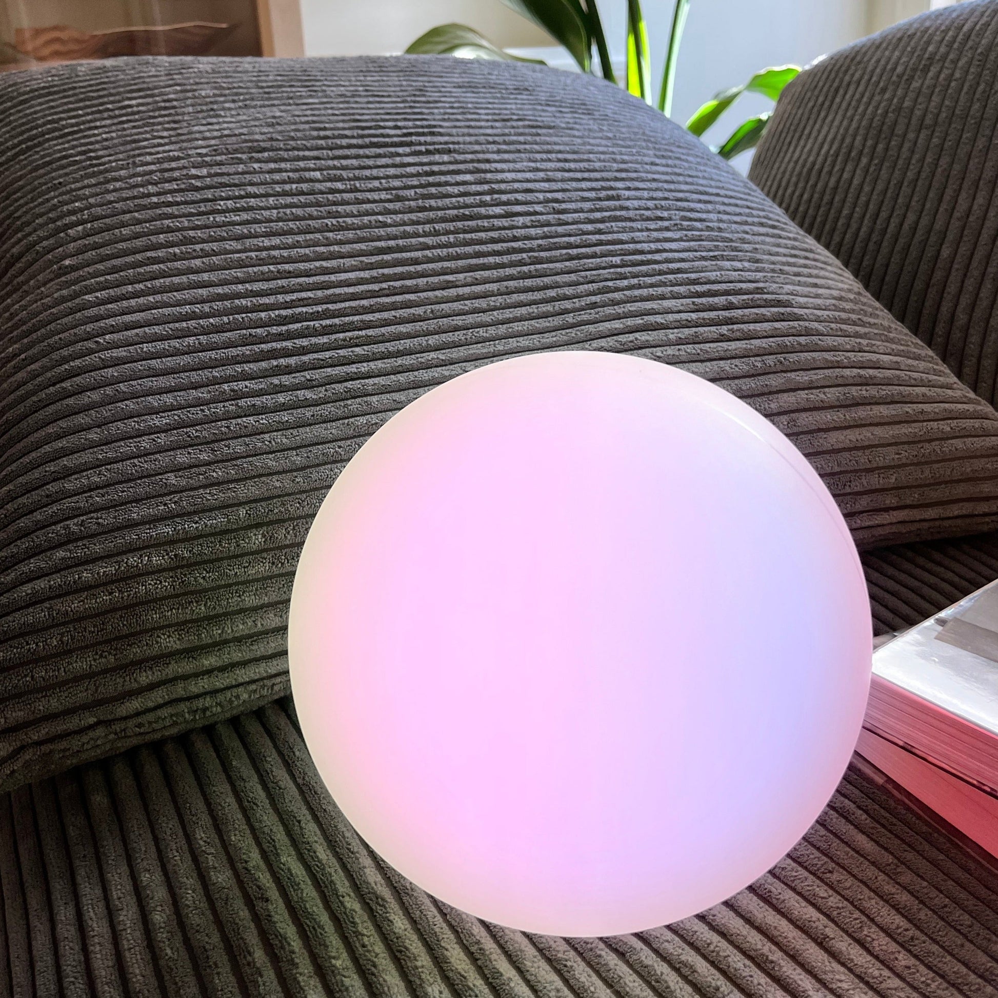 Portable LED Desk Lamp - Befez