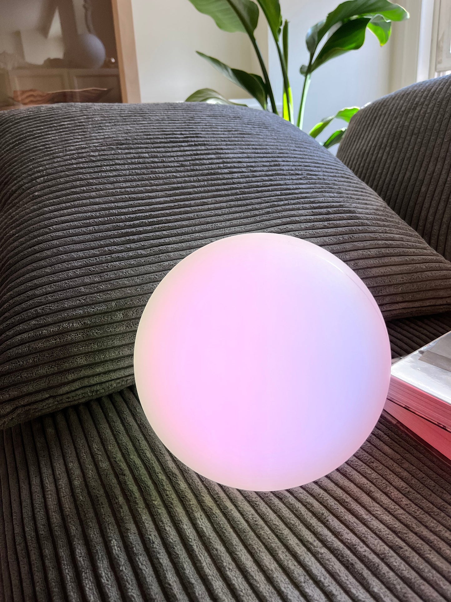 Portable LED Desk Lamp