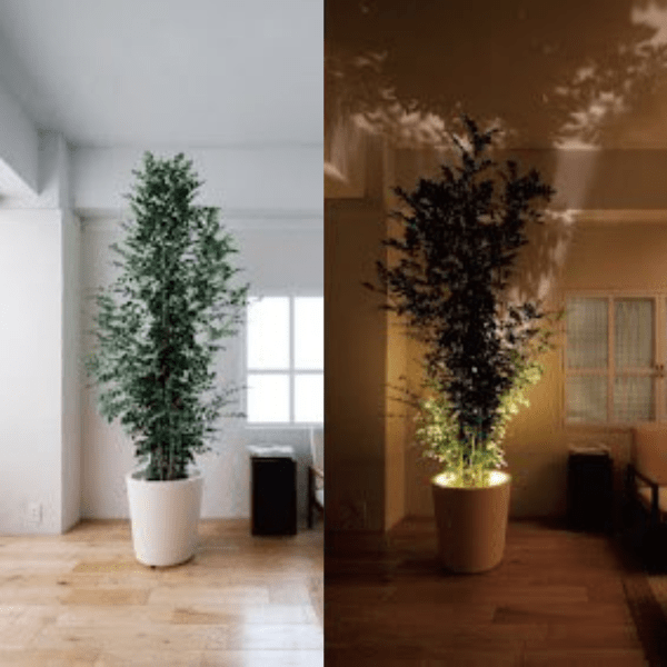 Befez | Viva Portable LED Table Lamp Compact Light