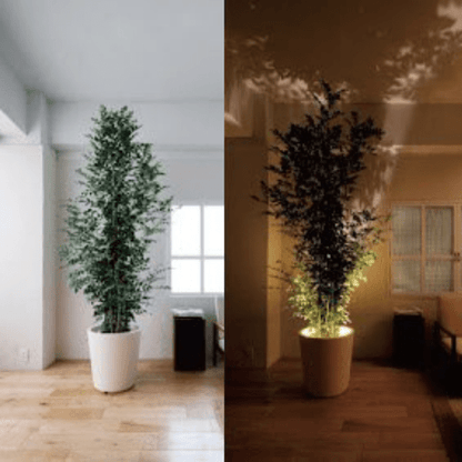 Befez | Viva Portable LED Table Lamp Compact Light
