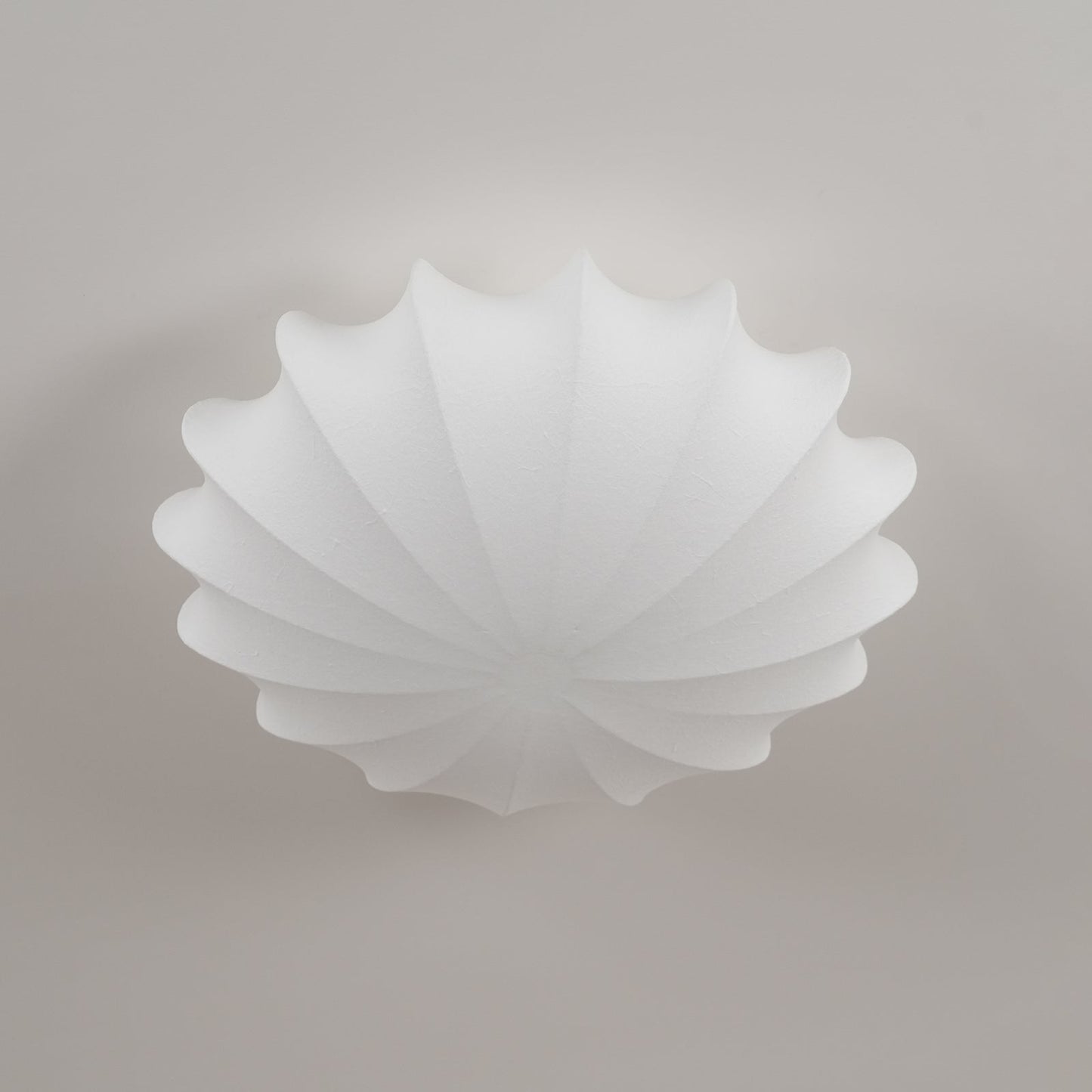 Stylish Shell Ceiling Light Fixture