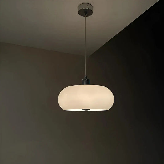 Stylish Glass Pendant LED Light Fixture - Befez