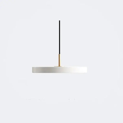 Simple Modern Hanging Light Lamp