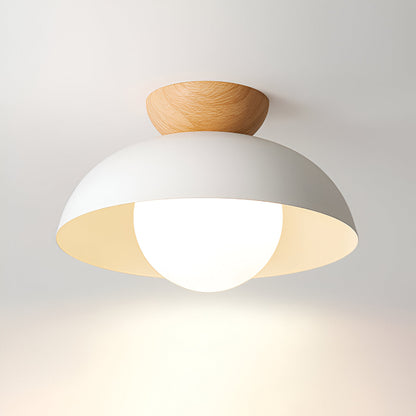 Simple Scandinavian LED Ceiling Lamp