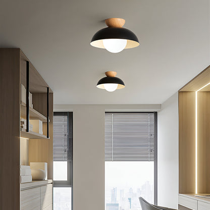 Simple Scandinavian LED Ceiling Lamp