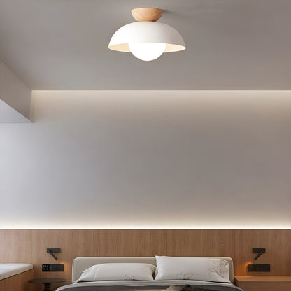 Simple Scandinavian LED Ceiling Lamp