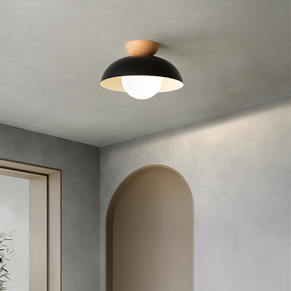 Simple Scandinavian LED Ceiling Lamp