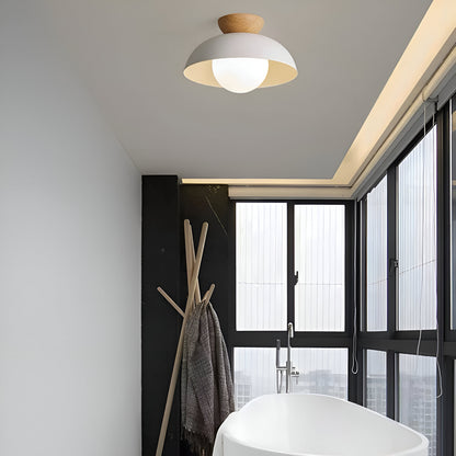 Simple Scandinavian LED Ceiling Lamp