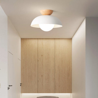 Simple Scandinavian LED Ceiling Lamp