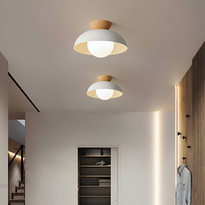Simple Scandinavian LED Ceiling Lamp