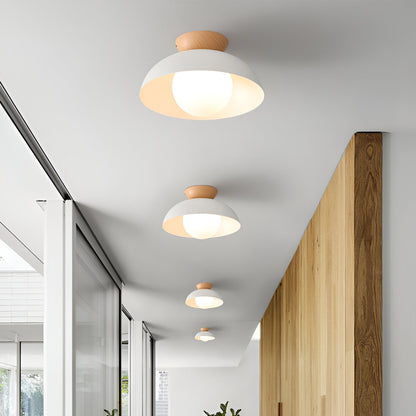 Simple Scandinavian LED Ceiling Lamp