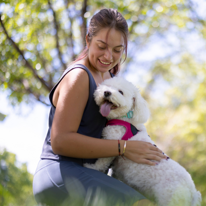 Pet Friendly Easy Clean Dog Chair