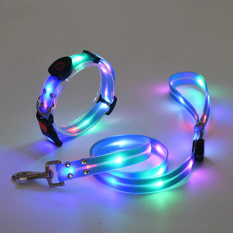 Glowing Pet Collar with Leash - Befez