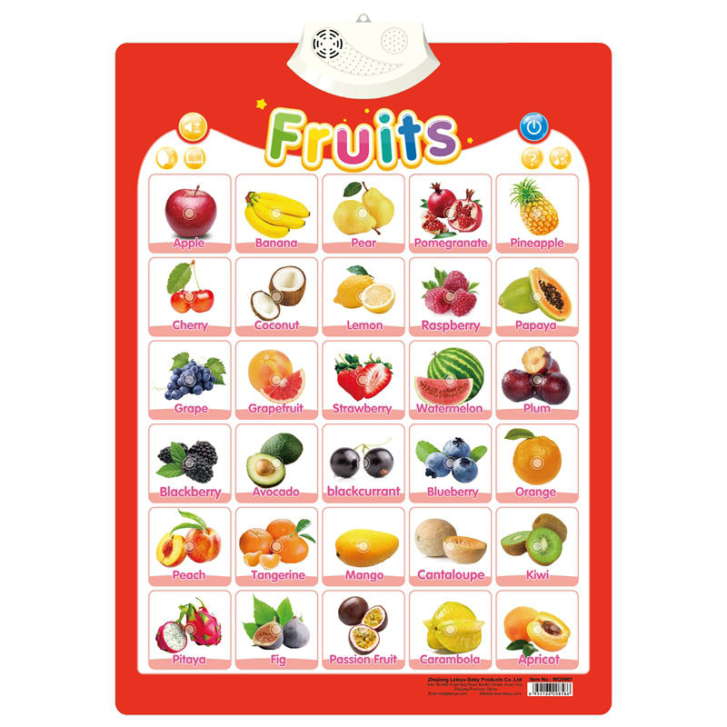 Fun Interactive English Learning Sound Toy