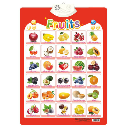 Fun Interactive English Learning Sound Toy