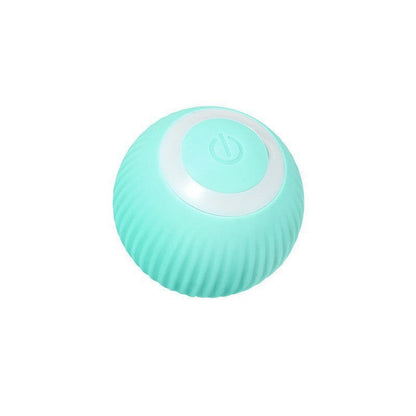 Fun Pet Cat Play Ball Toy