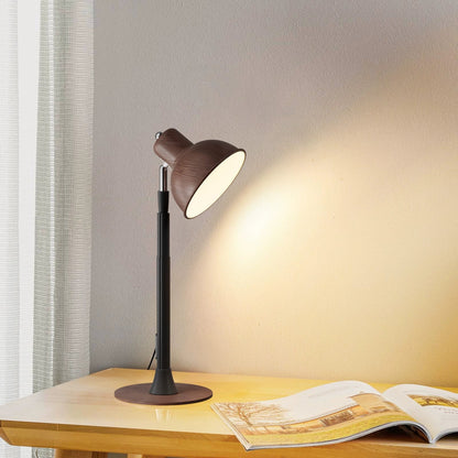 Bright Student Desk Light with USB Port