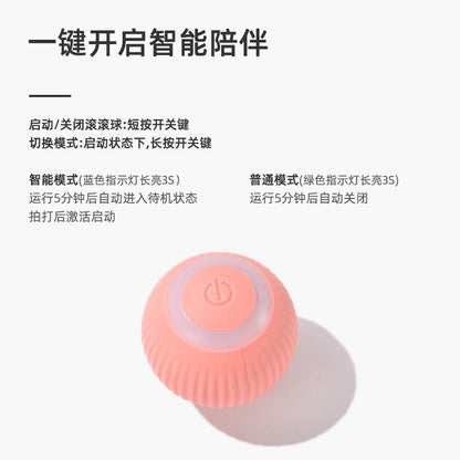 Fun Pet Cat Play Ball Toy