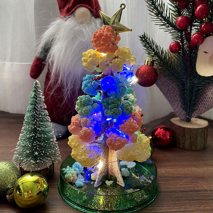 Befez | Enchanted Growing Tree