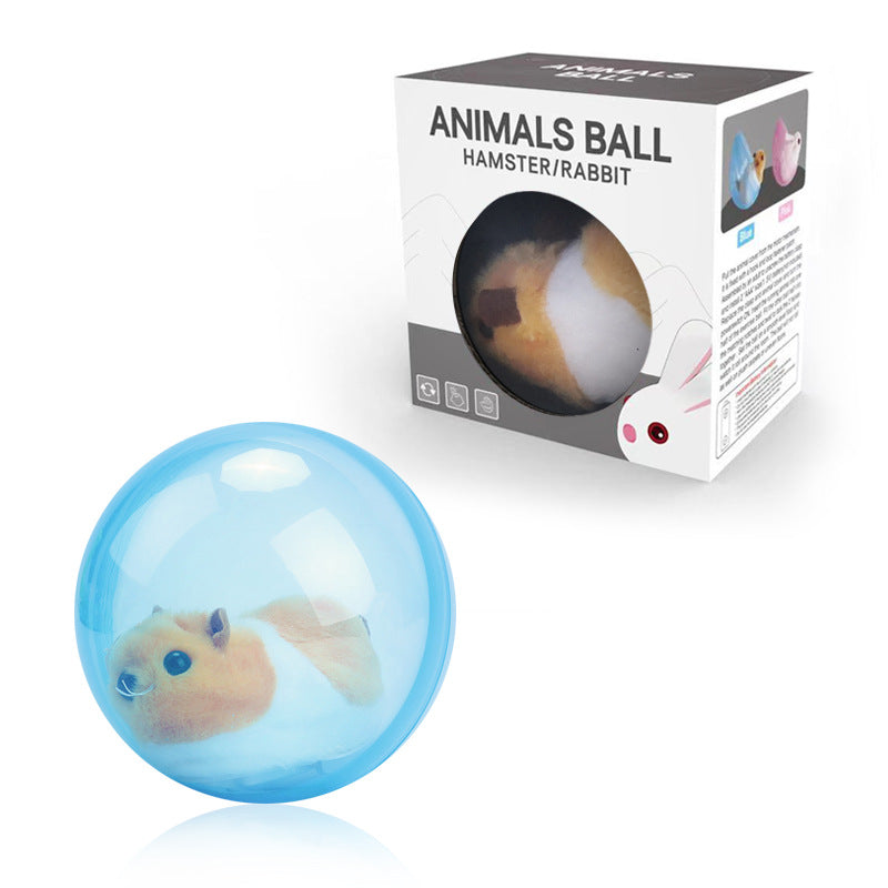 Fun Pet Exercise Ball Toy