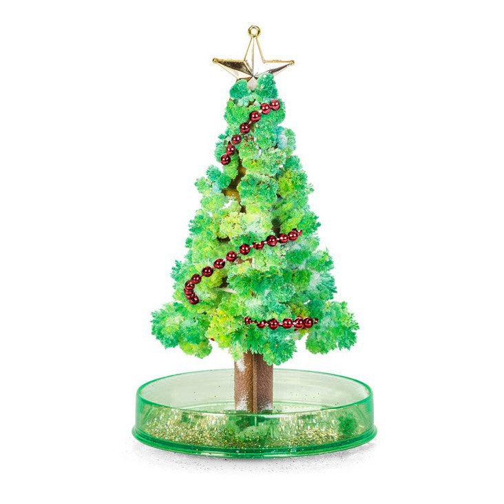 Befez | Enchanted Growing Tree