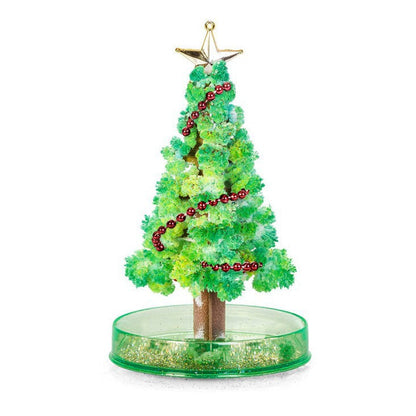 Befez | Enchanted Growing Tree