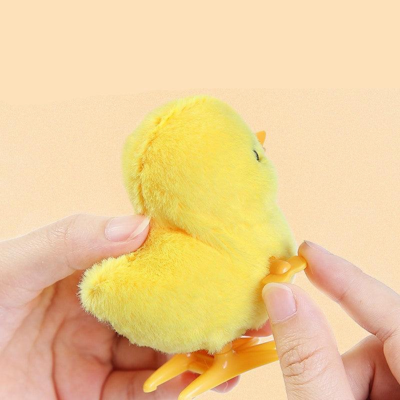 Fun Pull Along Kids Toy