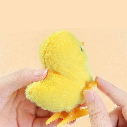 Fun Pull Along Kids Toy