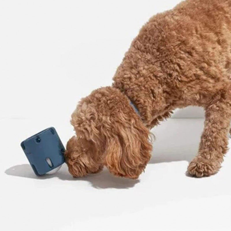 Tough Outdoor Tennis Ball Hopper