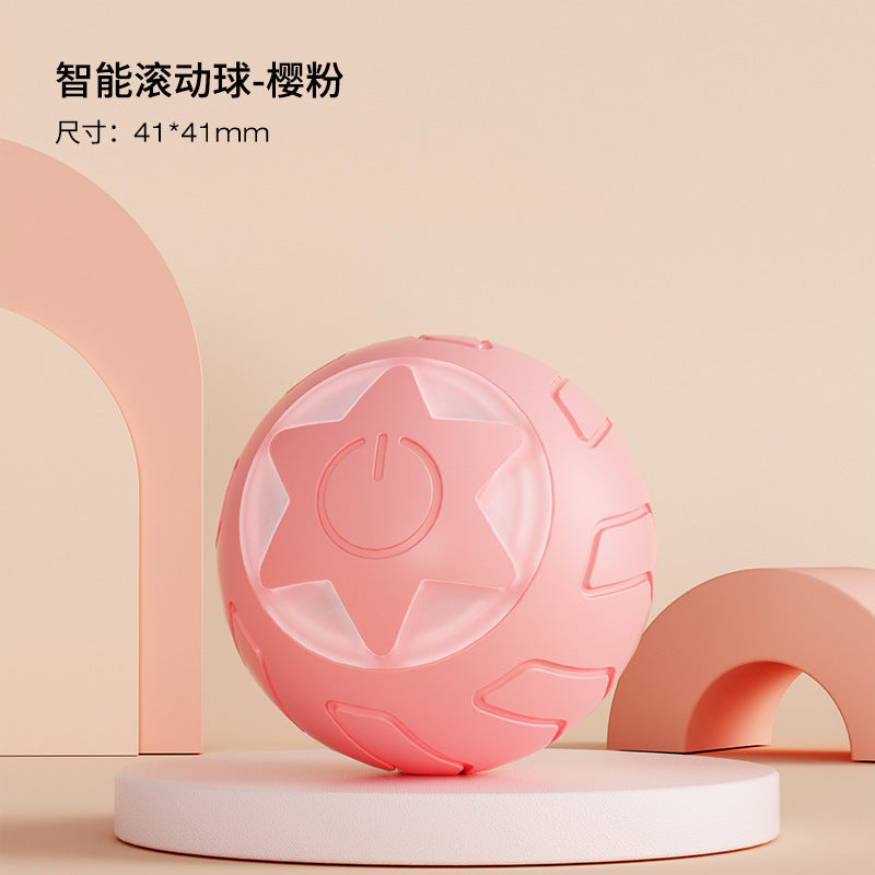 Fun Pet Cat Play Ball Toy