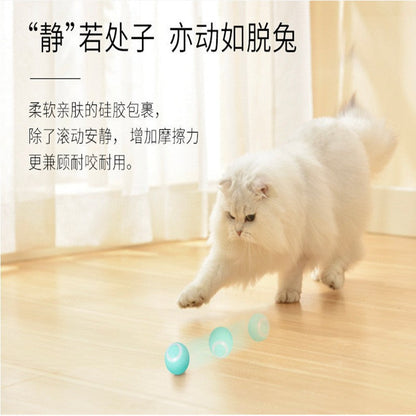 Fun Pet Cat Play Ball Toy