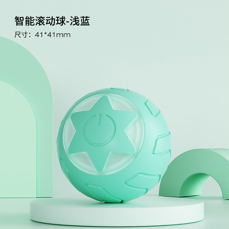 Fun Pet Cat Play Ball Toy