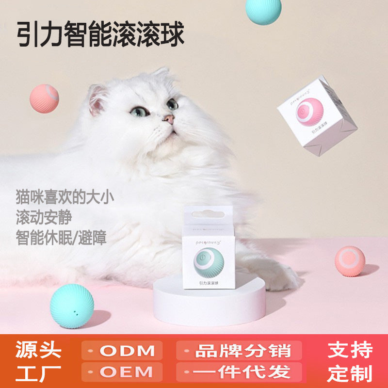 Fun Pet Cat Play Ball Toy