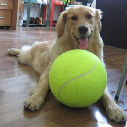 Fun Dog Tennis Ball Pet Toy - Befez