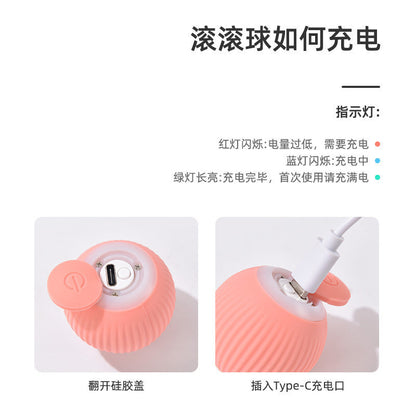 Fun Pet Cat Play Ball Toy