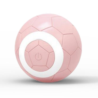 Fun Pet Cat Play Ball Toy