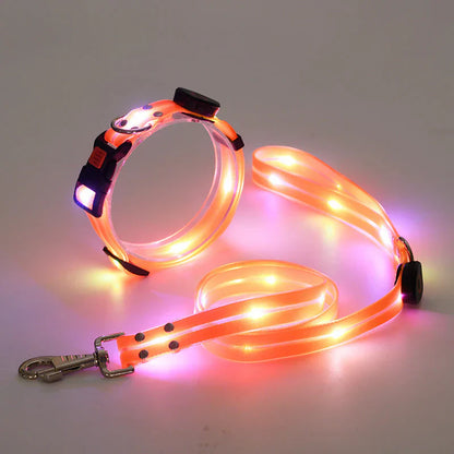 Glowing Pet Collar with Leash