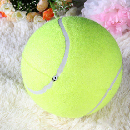 Fun Dog Tennis Ball Pet Toy