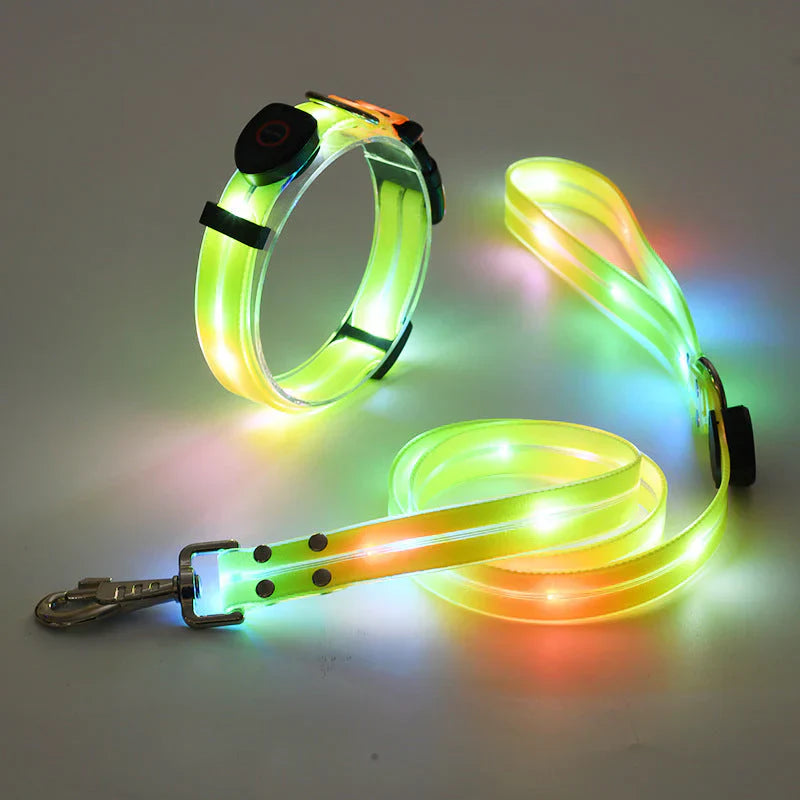 Glowing Pet Collar with Leash