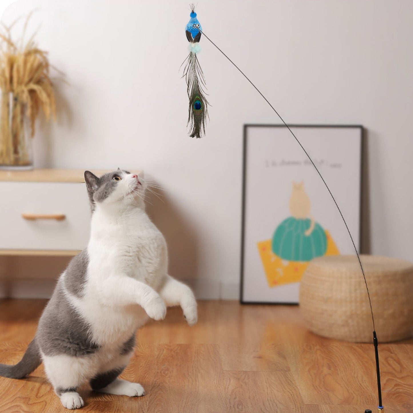 Fun Feather Cat Teaser Toy