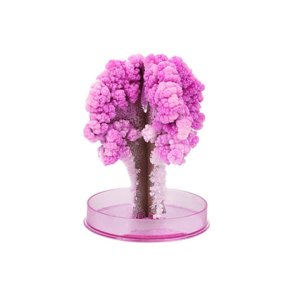 Befez | Enchanted Growing Tree