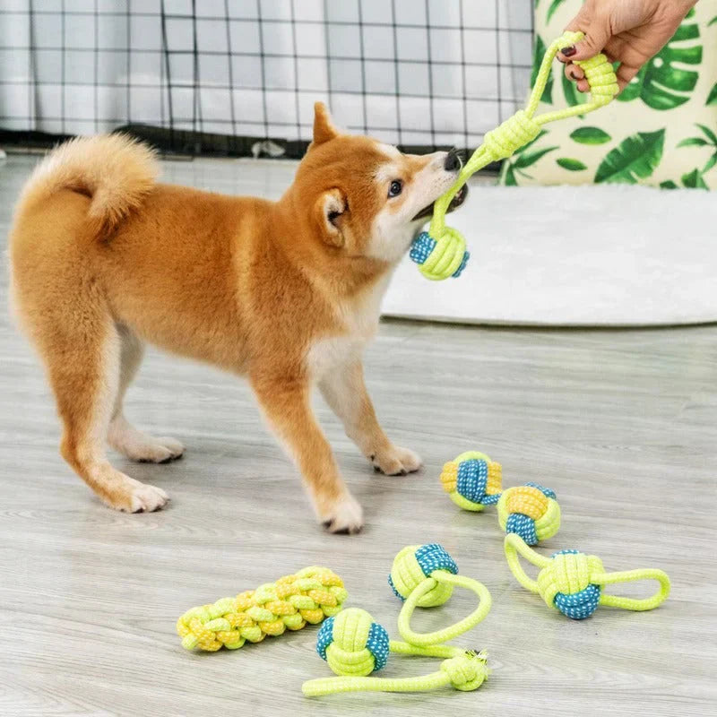 Fun Pet Interactive Rope Toy - Befez
