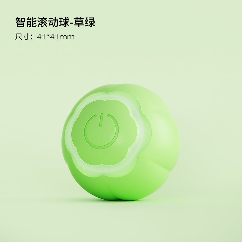 Fun Pet Cat Play Ball Toy